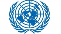 ООН причислила шифрование и анонимность в интернете к правам человека